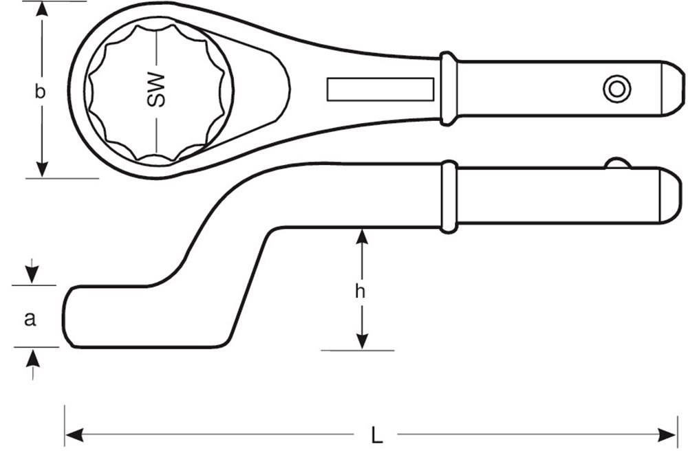 sbe_310m_l.jpg