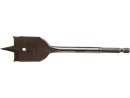 1515919_2.png