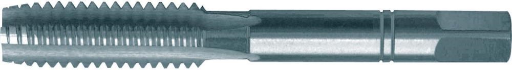 qwz114007.jpg