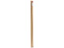 P-78069_C1N1.png