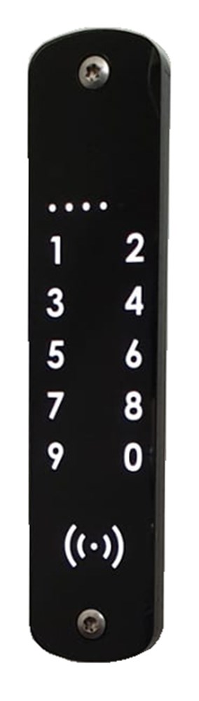 Codetoetspaneel