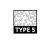 Type 5 Type 5