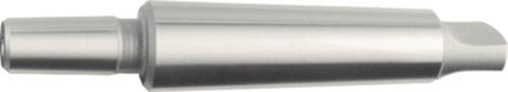 Afbeelding voor Kegeldoorn