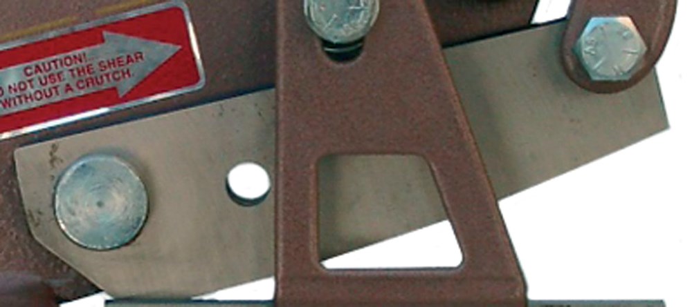 337966.jpg