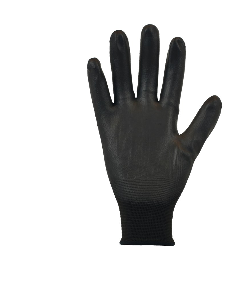 2.01.10.610.00_palm_HR.png