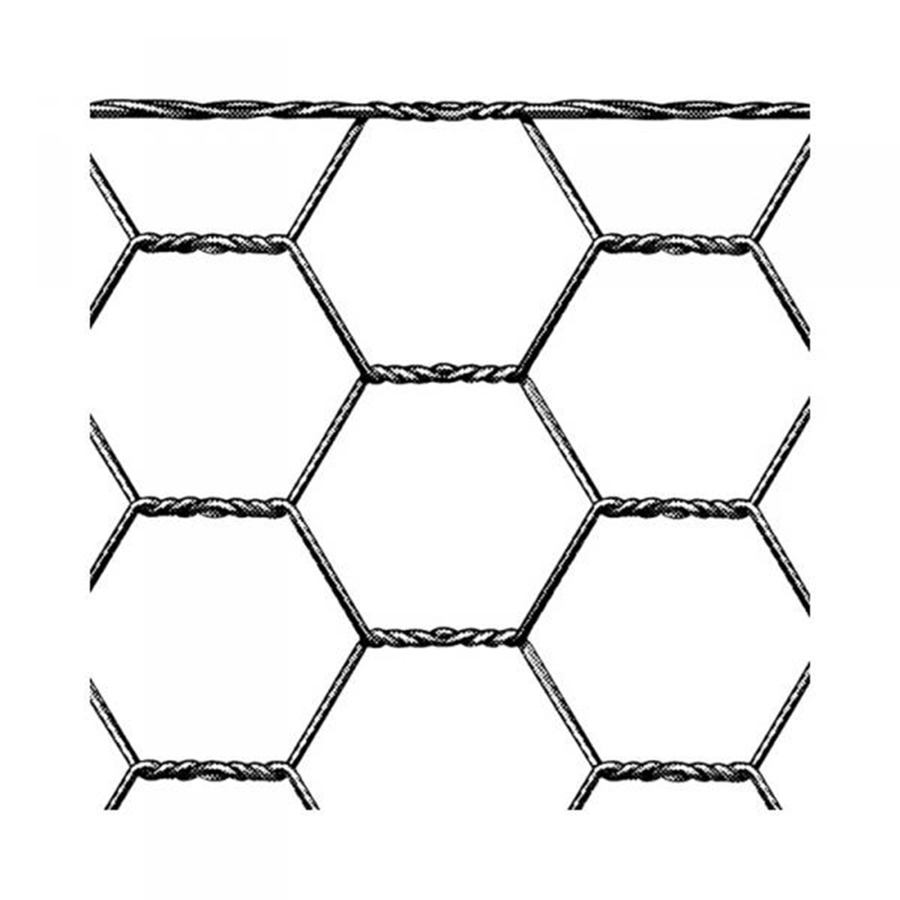 hexanet-3429-800x800.jpg