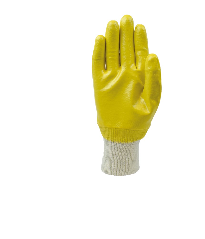 2.01.10.200.00_palm_HR.png
