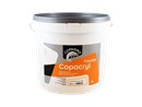 https://www.ez-catalog.nl/Asset/b65200ac5a6a4057b93b1afafe27eb70/ImageFullSize/COPAGRO-COPACRYL-FACADE-10L-CCRYLFA10LME.jpg