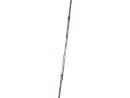 1518836_1.png