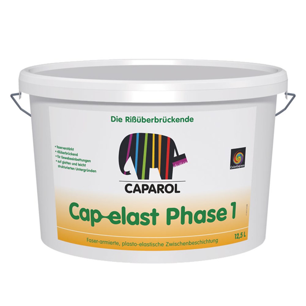 CAP-ELAST PHASE 1 WE1 WIT (1)