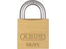 https://www.ez-catalog.nl/Asset/bb3055a5980f424b8d18cac5b207319e/ImageFullSize/abus-55-25.jpg