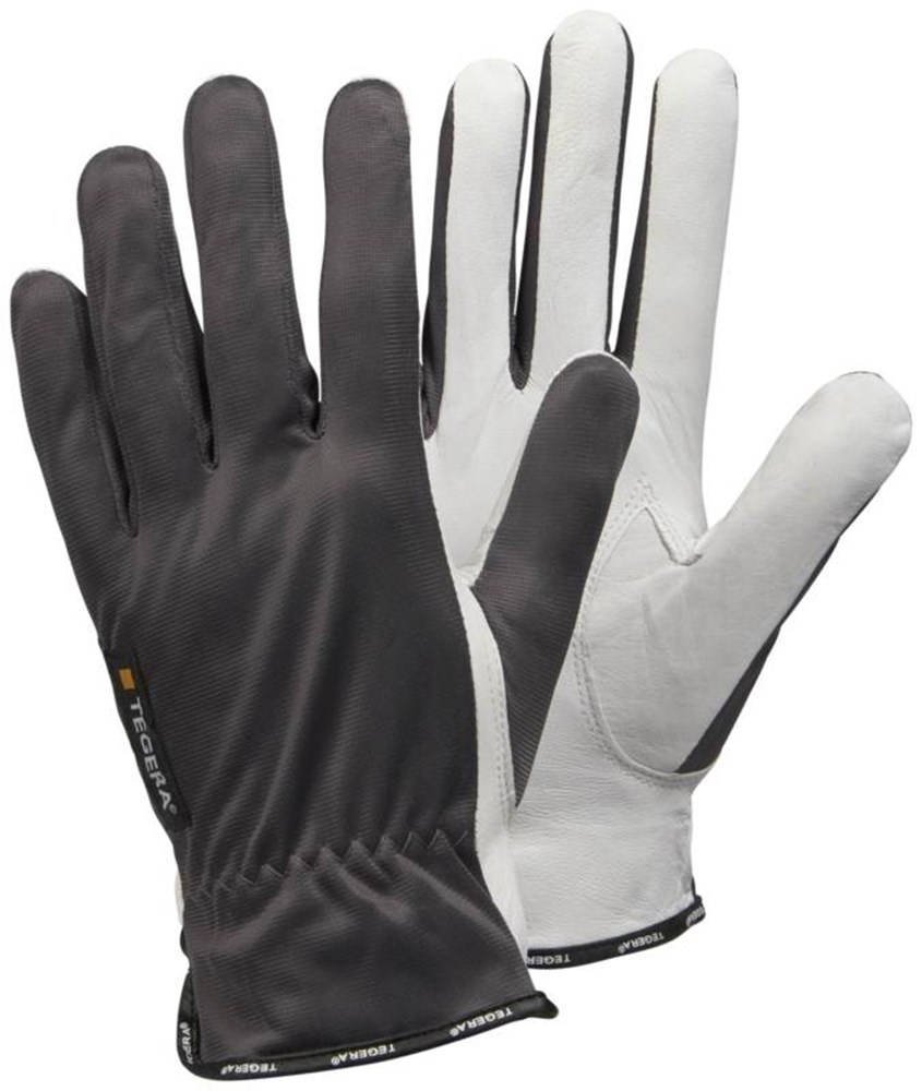 Afbeelding voor Handschoen Tegera 114 1041289
