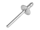 BLINDKLINKNAGEL POLYGR.STL/STL GROTE KOP 4X13MM ;1455975 img-3164-artnr-216710174-polyrip-st-st-gk-axle.jpg