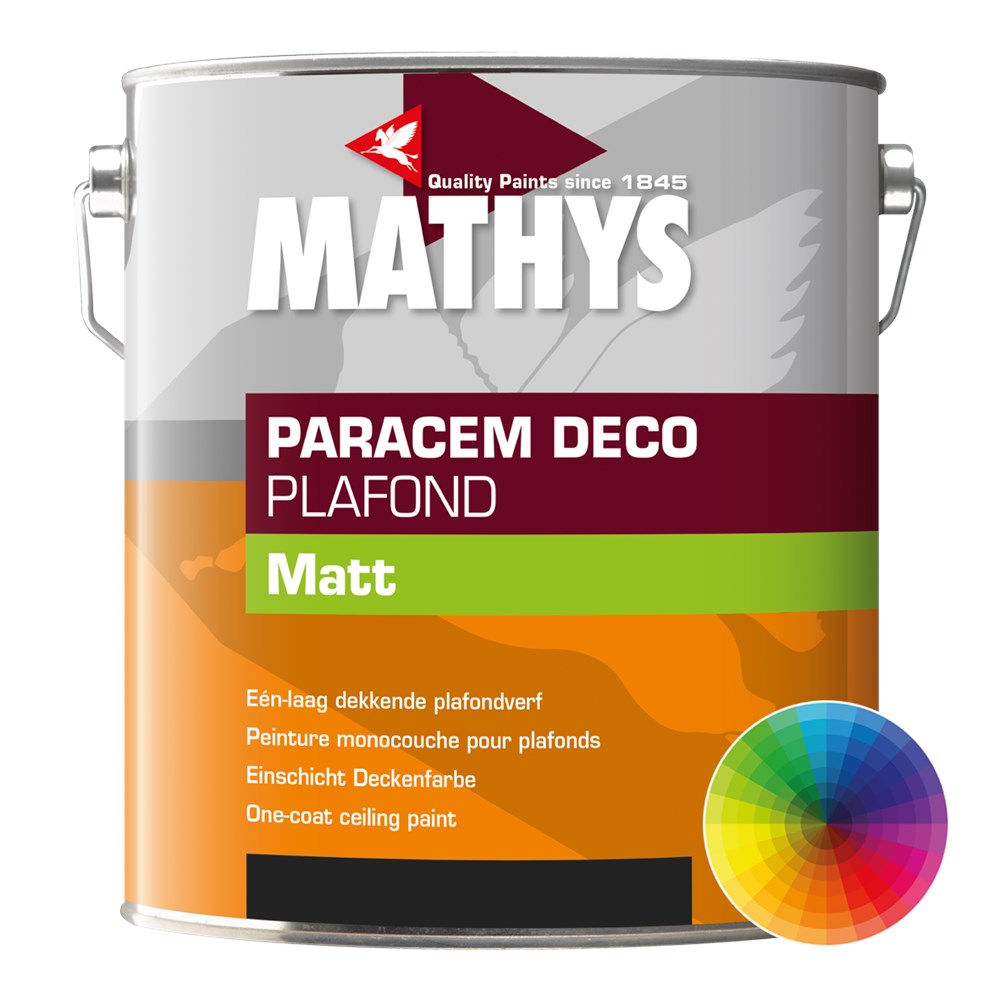Paracem deco plafond (3)