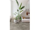 https://www.ez-catalog.nl/Asset/ce3b01c7abb2439f94399063fba39b12/ImageFullSize/ILGP40273-Interior03.jpg