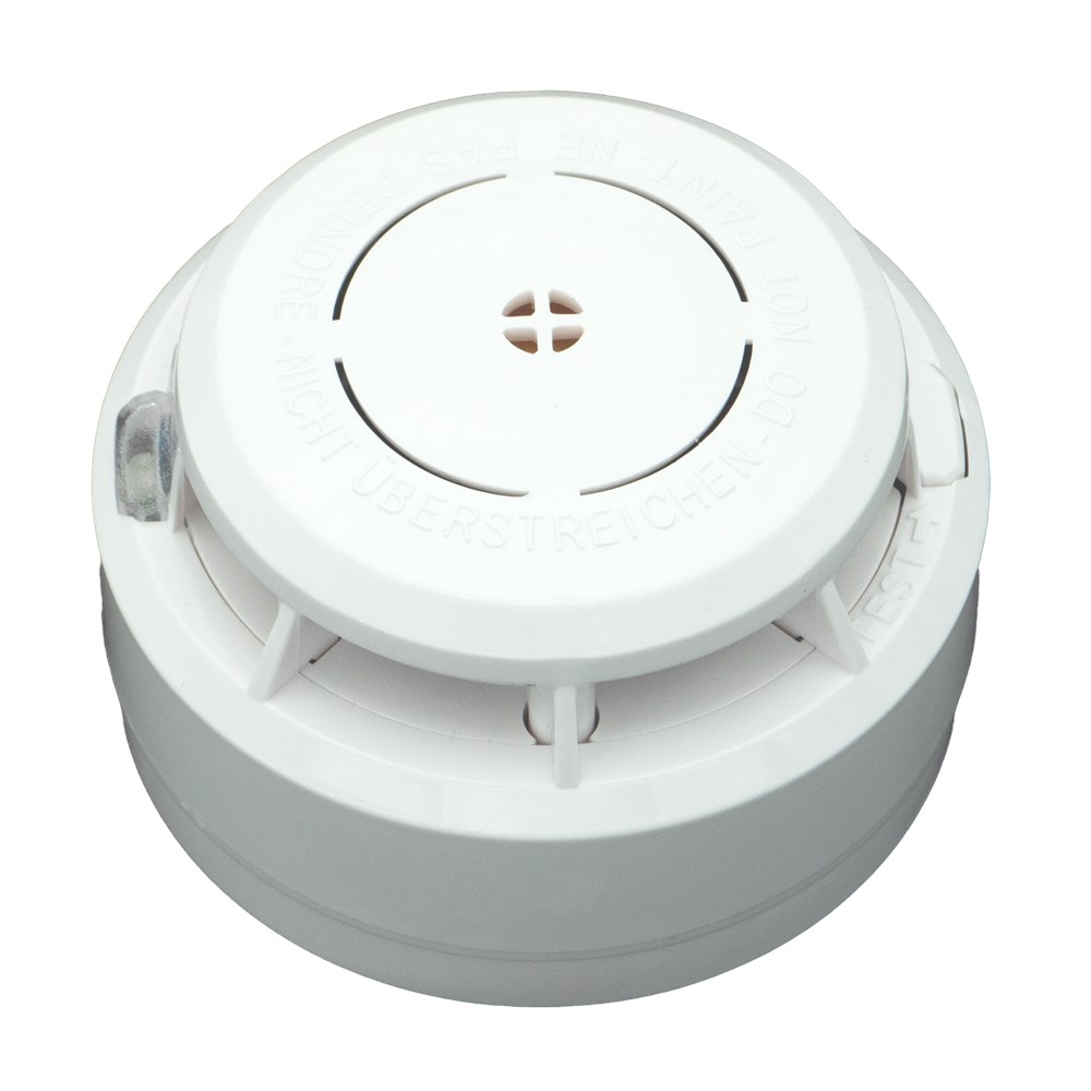 ASD-5 2023(2).png