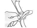 i0000027427.jpg