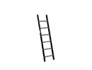 ALPINE enkele ladder 1x6 120106.jpg