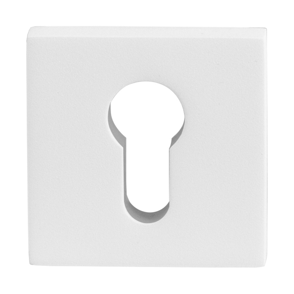 Wit, Wit, RVS, PC, Ja, RAL 9016, stuk, Modern & zelfbewust, Nee, Veiligheidsbinnenrozet exclusief bevestiging GPF881462199.png