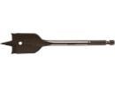 1515917_2.png