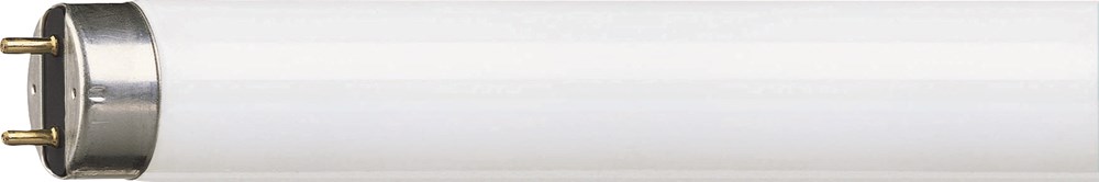 G13, 36 W, Koel wit, TL, A, 4100 Kelvin, 3350 Lumen P622686_1.jpg