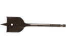 1515921_2.png