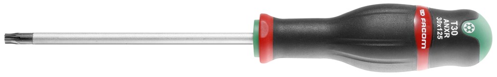 Schroevendraaier torx met gat