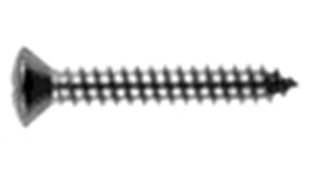 spaanplaatschroef rvs a2-1 spaanplaatschroef rvs a2-1