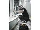 motiv_kraftform_kompakt_f_1_393_s_03_2889_rk.jpg