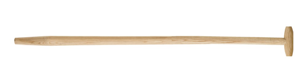 1911003.jpg