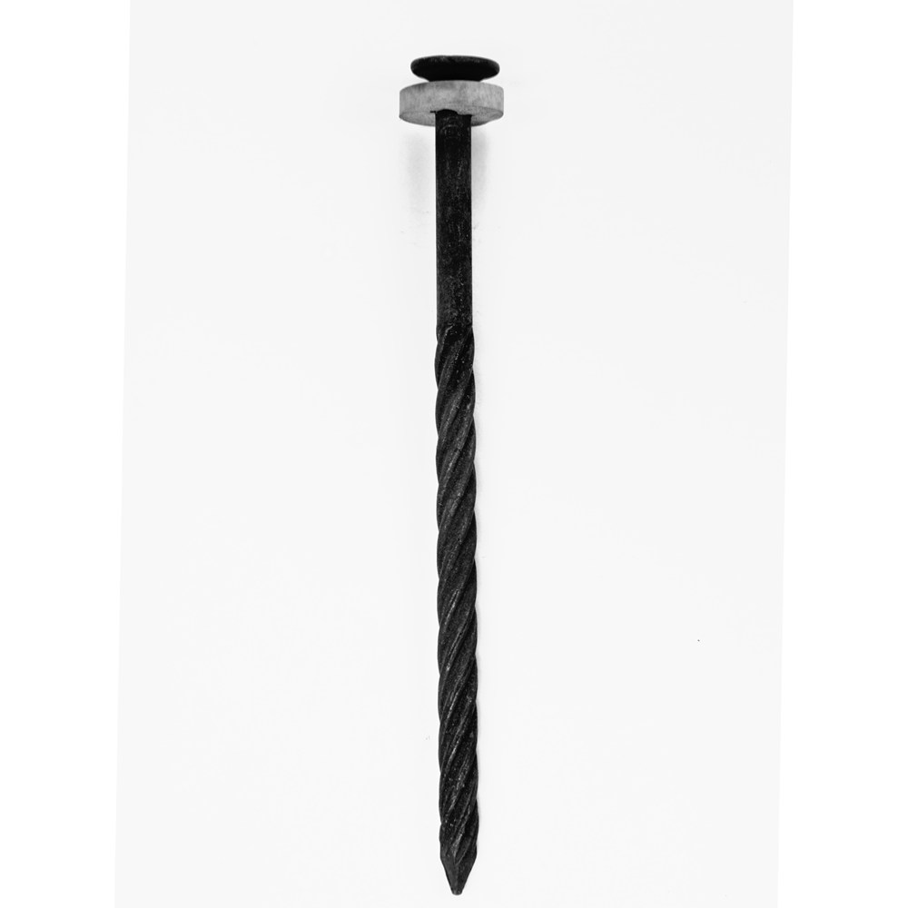 Afbeelding voor Vorstpannagel zwart 4.0x45p.st