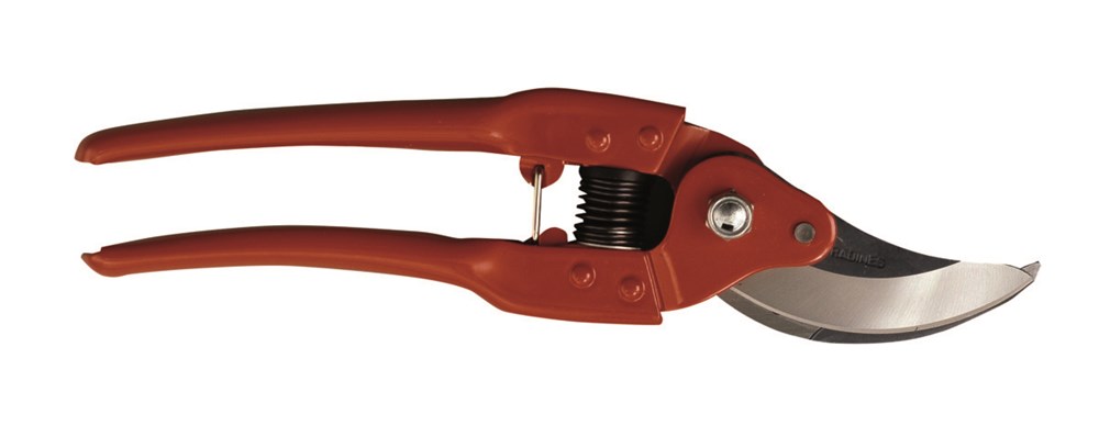 sga_p110-23_wo_c.jpg