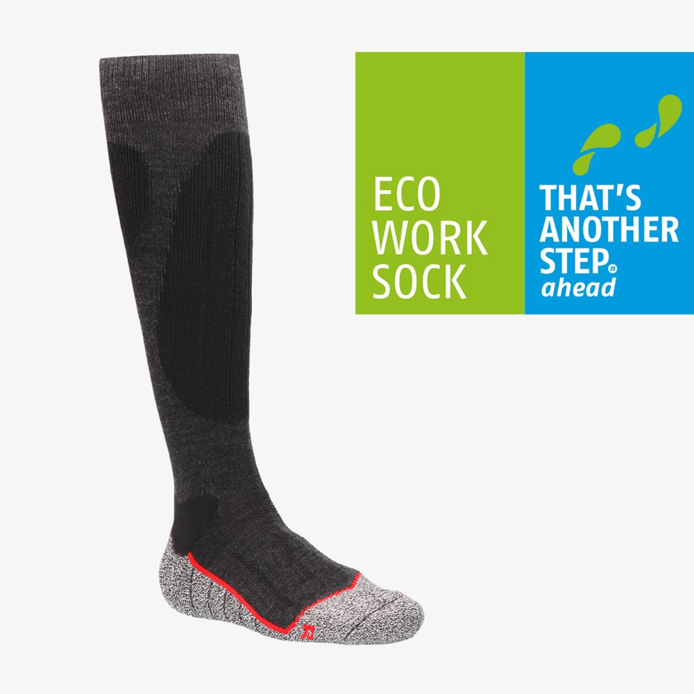 133119301-thermo-ml-eco.png