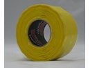Yellow.JPG