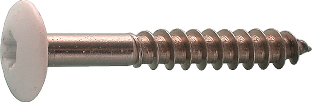 kleurkopschroef rvs a2 kelfort-1 kleurkopschroef rvs a2 kelfort-1