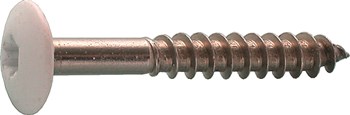 Gevelplaatschroef voor Trespa®